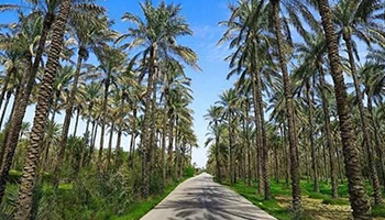مقاله‌های آموزشی